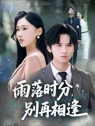 雨落时分别再相逢 海报