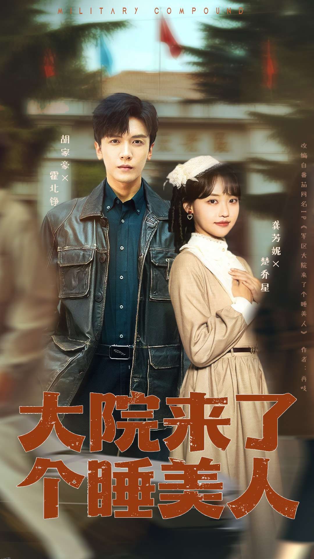 大院来了个睡美人68集版 海报