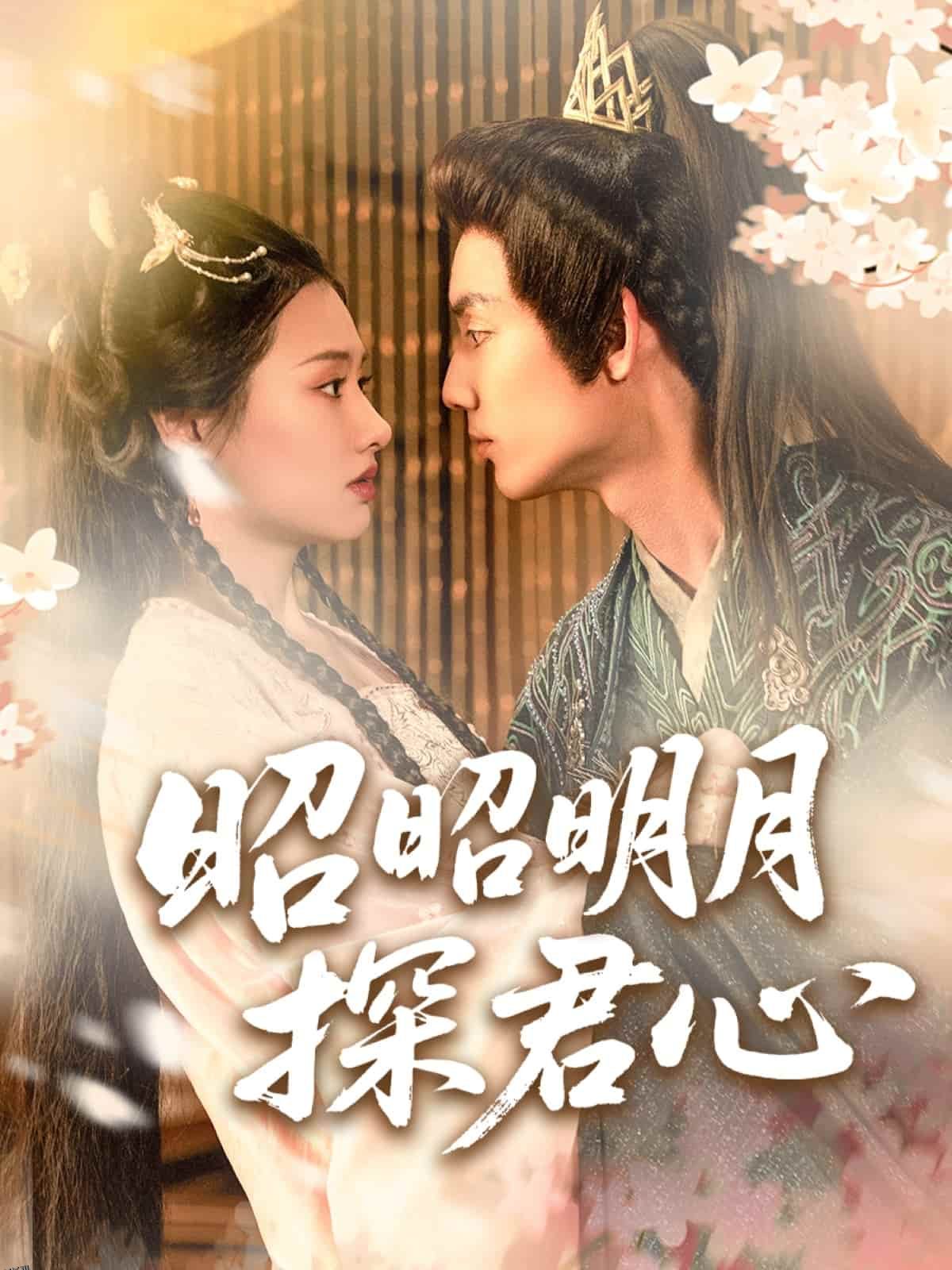 昭昭明月探君心 海报