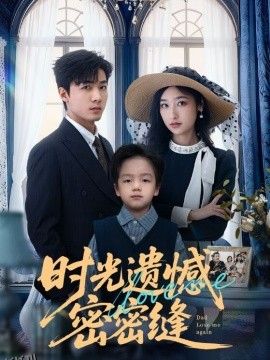 时光遗憾密密缝 海报