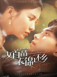 女首富衣锦还乡 海报