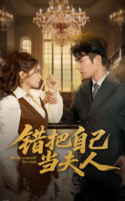 错把自己当夫人 海报