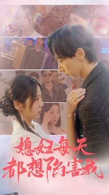 媳妇每天都想陷害我 海报