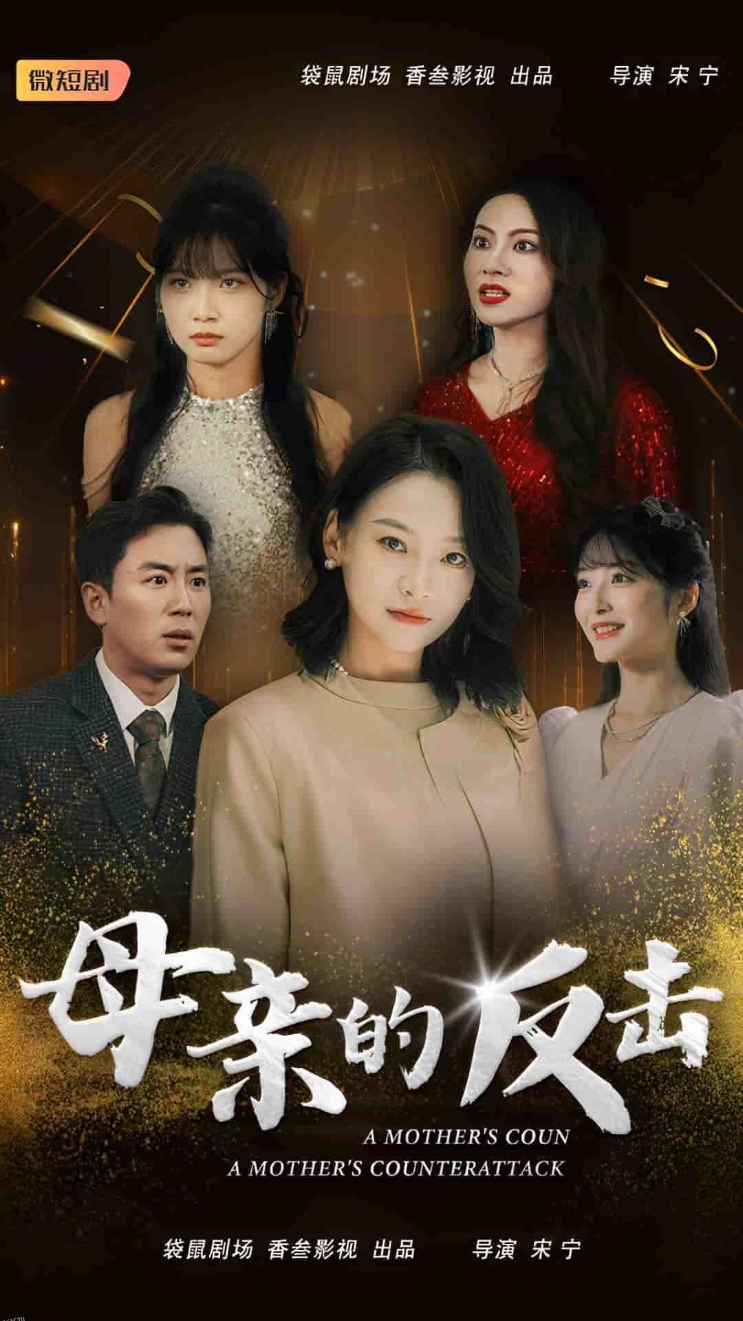 母亲的反击 海报