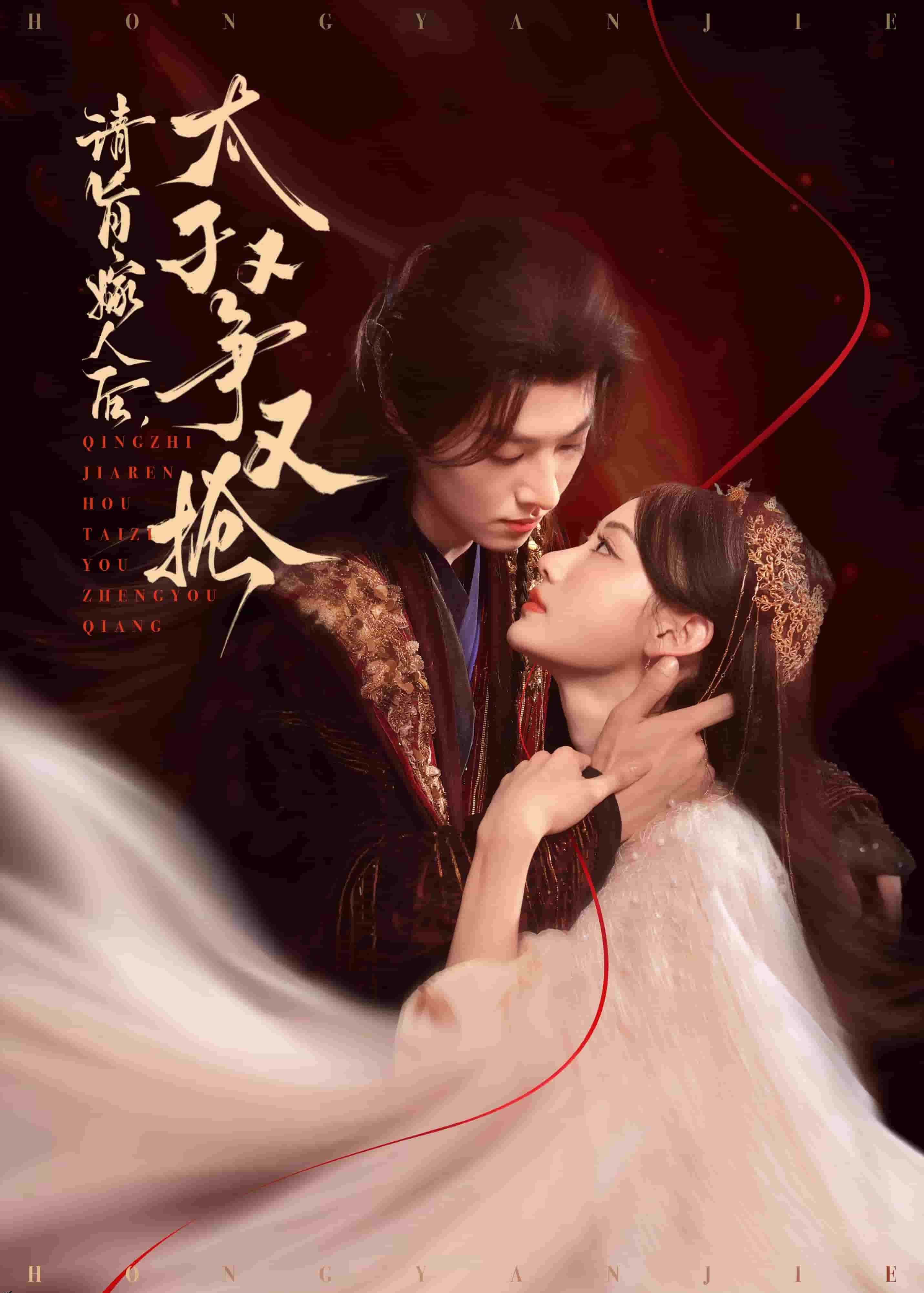 请旨嫁人后太子又争又抢 海报