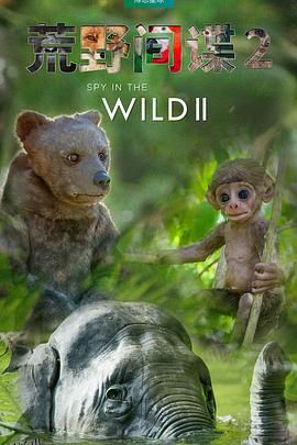 荒野间谍第二季 海报