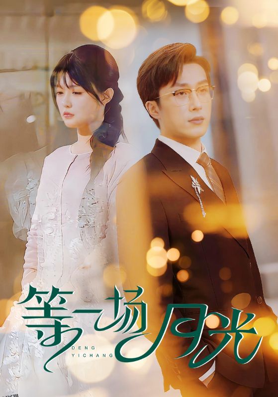 等一场月光 海报