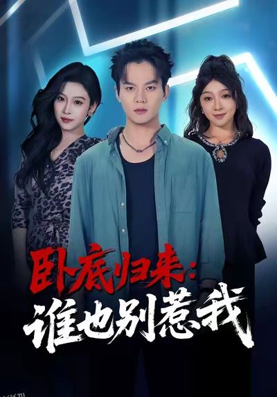 卧底归来谁也别惹我 海报