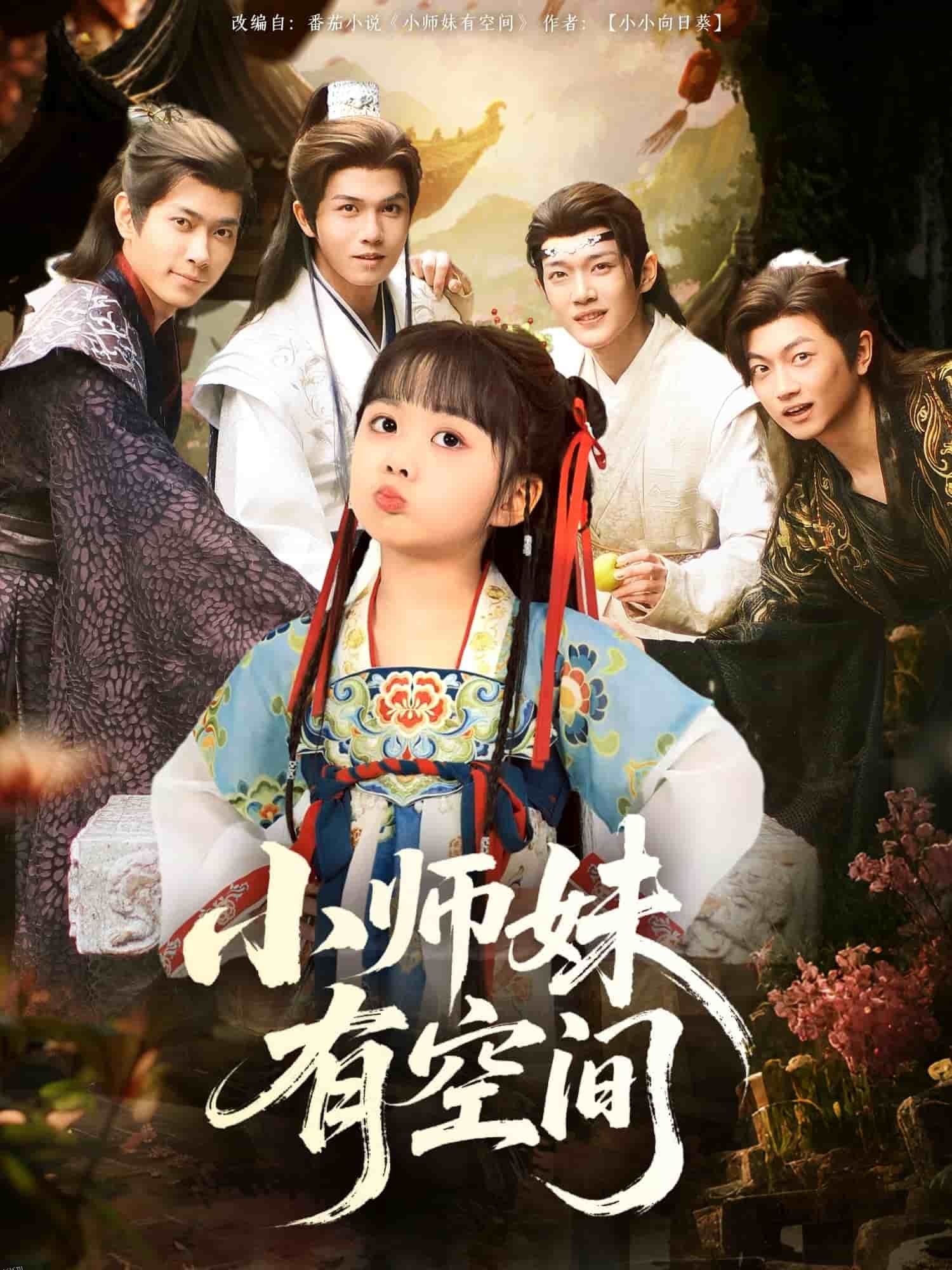 小师妹有空间 海报