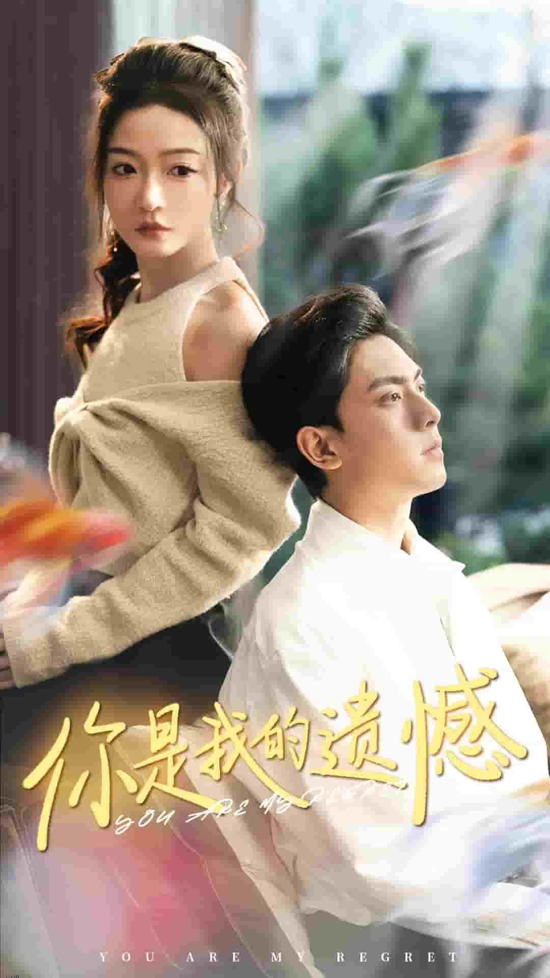 你是我的遗憾 高清海报