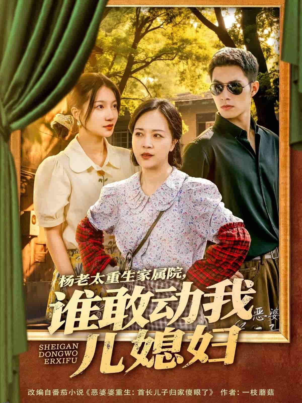 杨老太重生家属院，谁敢动我儿媳妇 海报