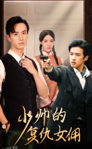 少帅的复仇女佣 海报