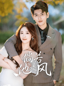 倘若他是风 海报