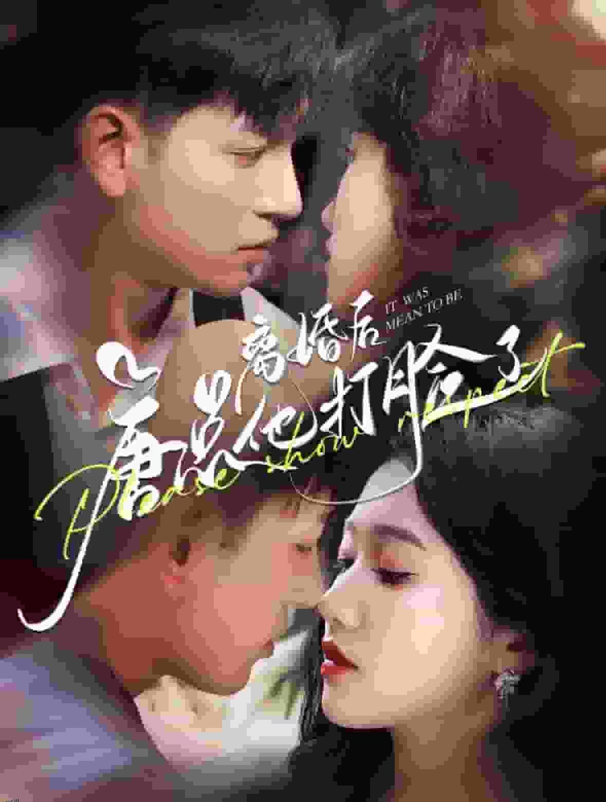 离婚后唐总他打脸了 海报