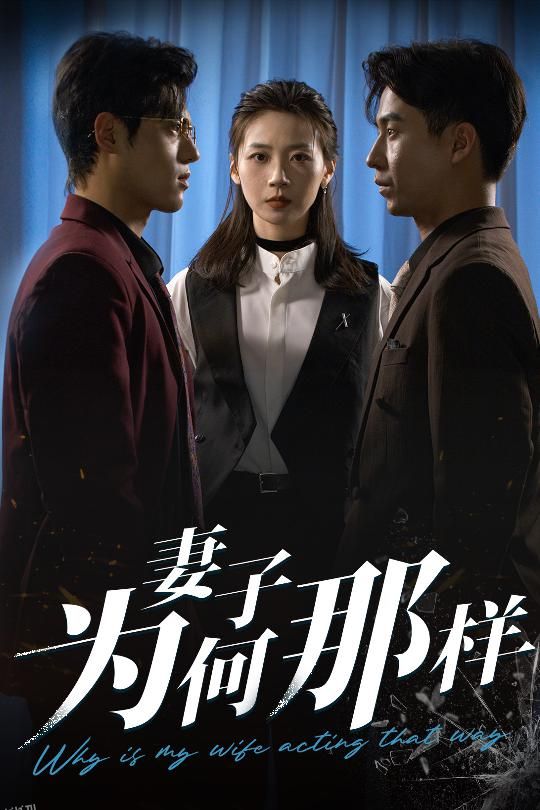 妻子为何那样 海报