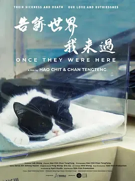 告诉世界我来过 海报