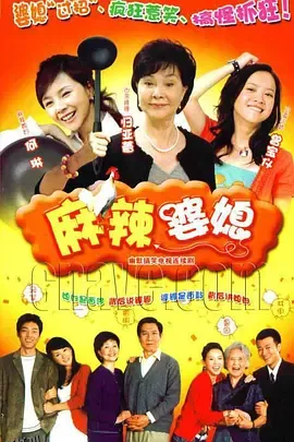 麻辣婆媳 海报