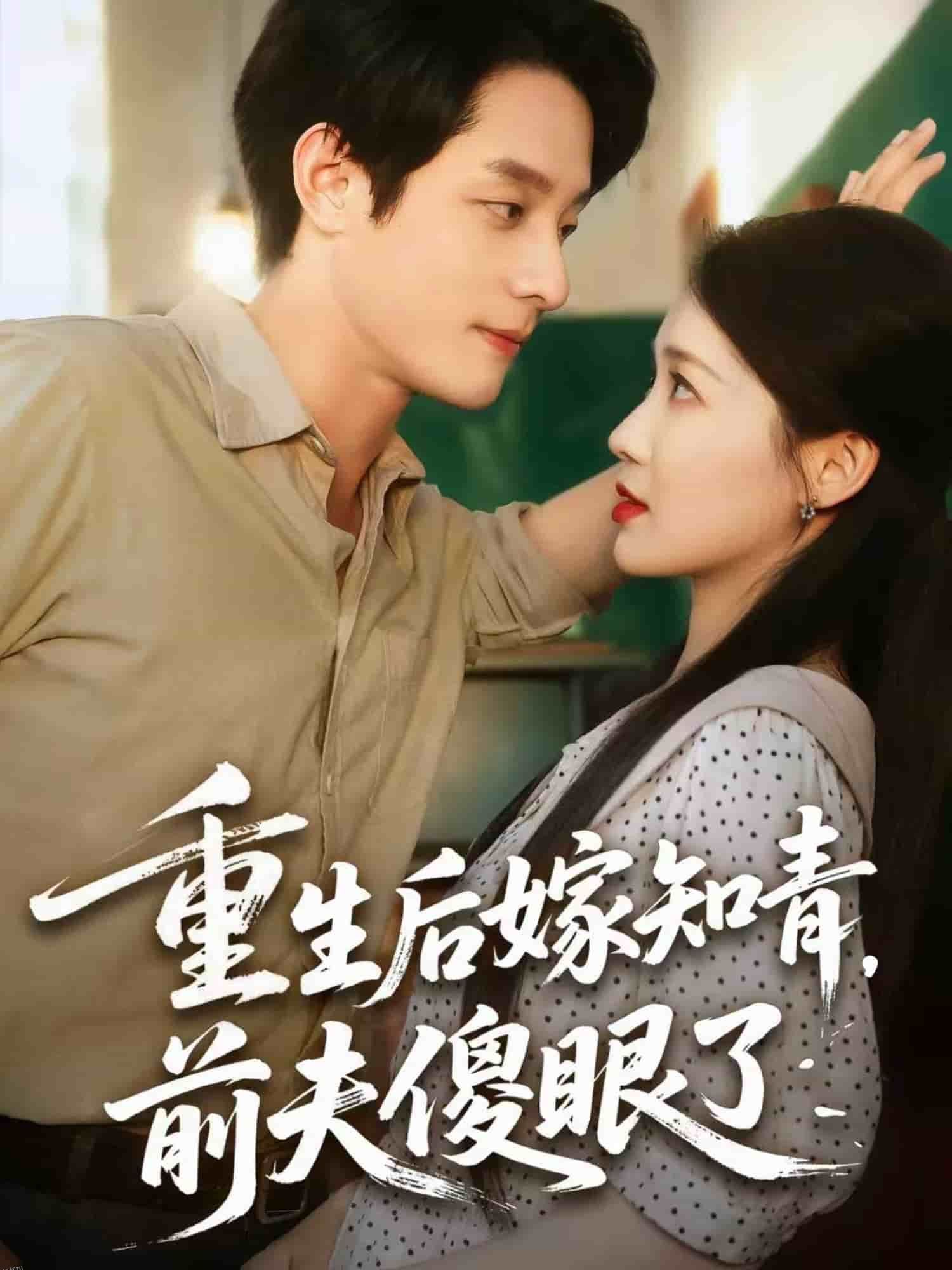 重生后嫁知青前夫傻眼了 海报