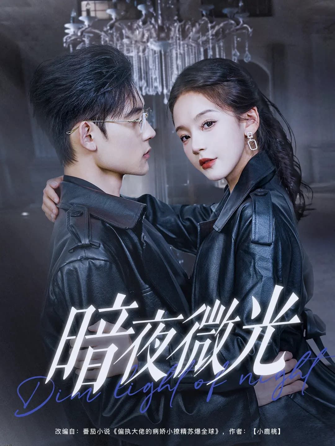 暗夜微光 海报