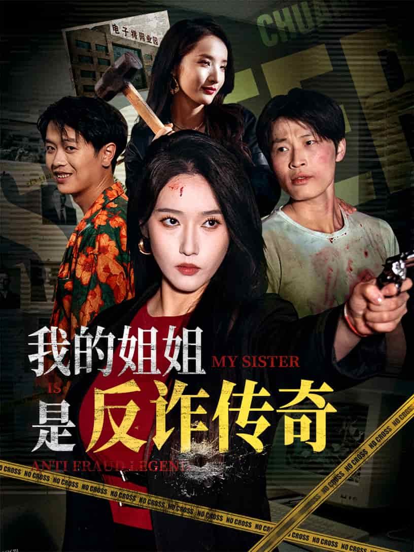 我的姐姐是反诈传奇 海报