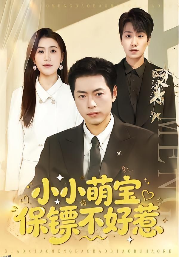 小小萌宝保镖不好惹 海报