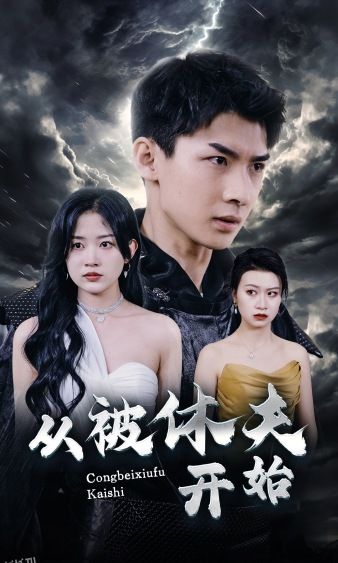 从被休夫开始 海报