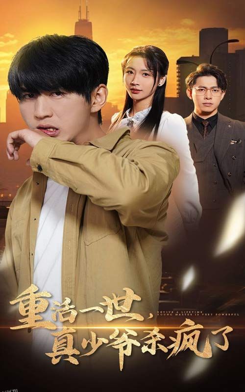 重活一世真少爷杀疯了 海报