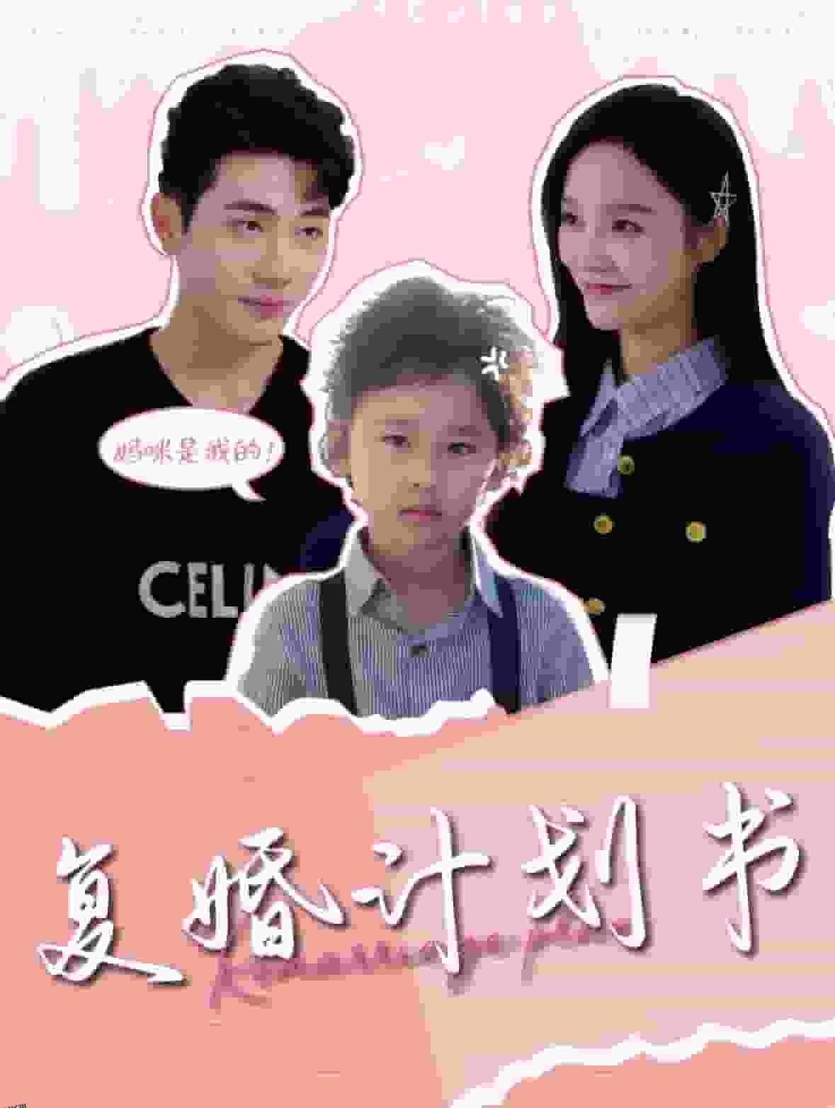 复婚计划书 海报