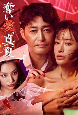 夺爱，仲夏 海报