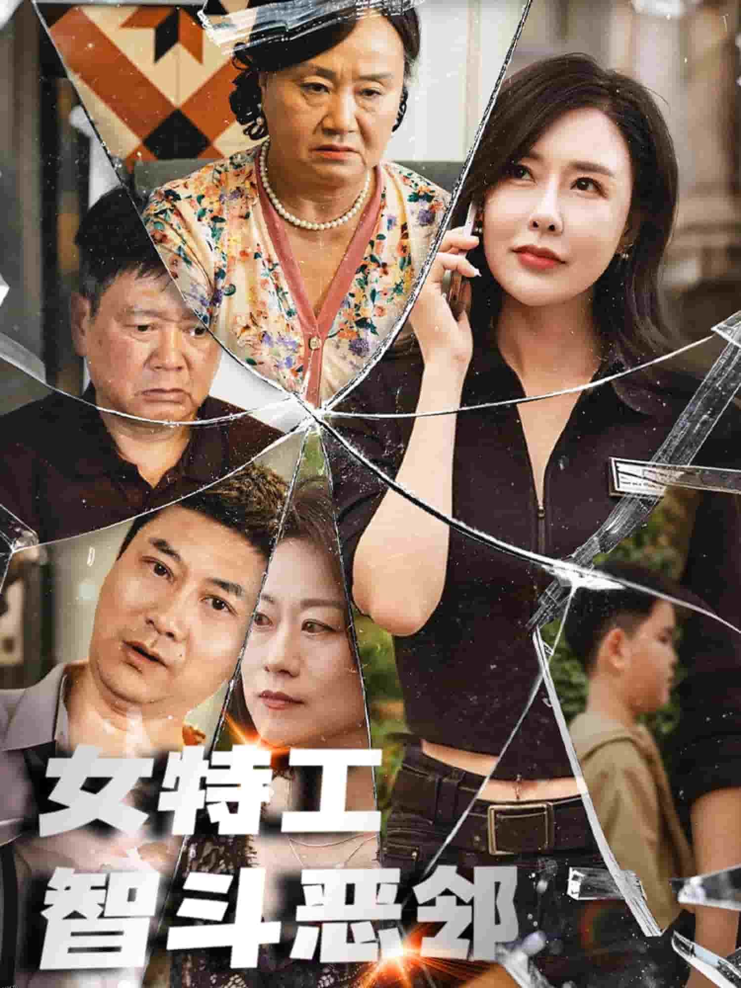 女特工智斗恶邻 海报