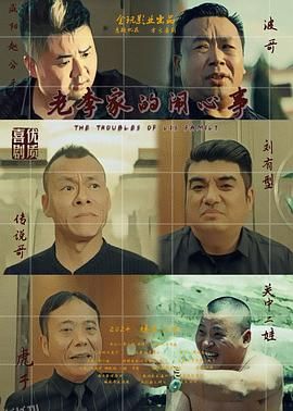 老李家的闹心事 海报