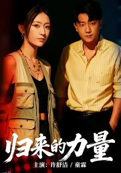 归来的力量 海报