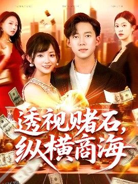 透视赌石纵横商海 海报