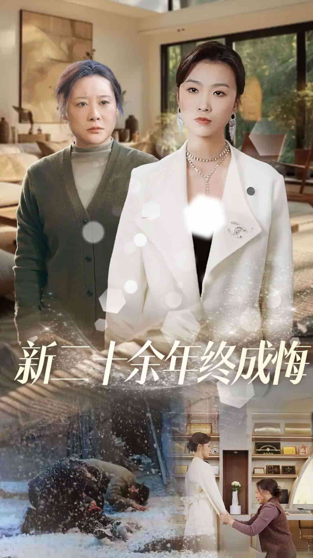 新二十余年终成悔 海报