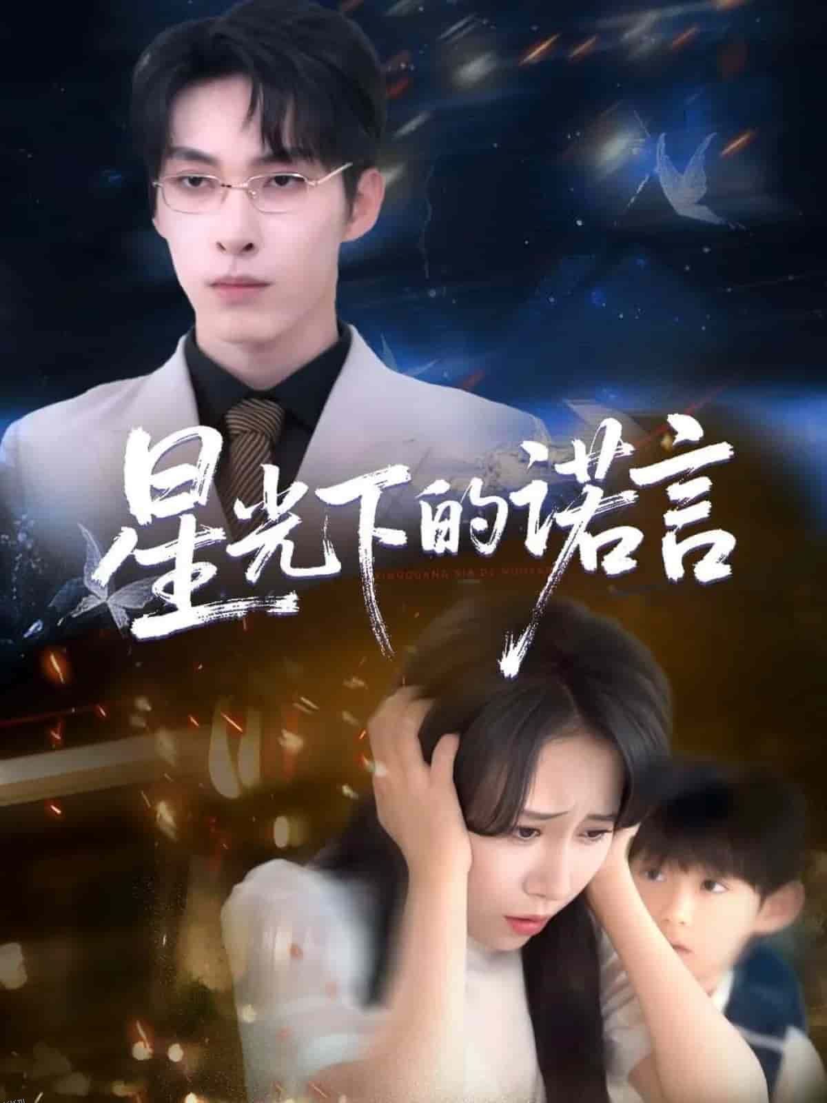 星光下的诺言 海报