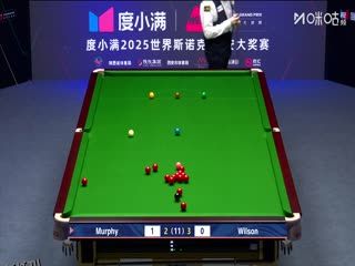 2025斯诺克西安大奖赛半决赛 肖恩·墨菲6-4加里·威尔逊 20251012 海报