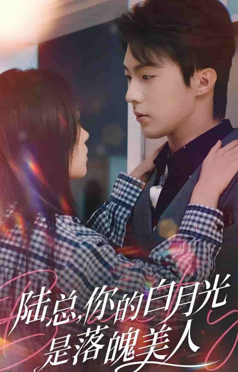 陆总你的白月光是落魄美人 海报