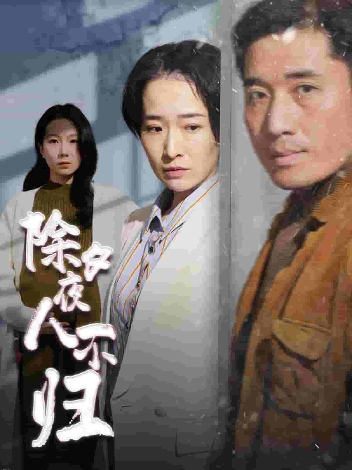 除夕夜人不归 高清海报