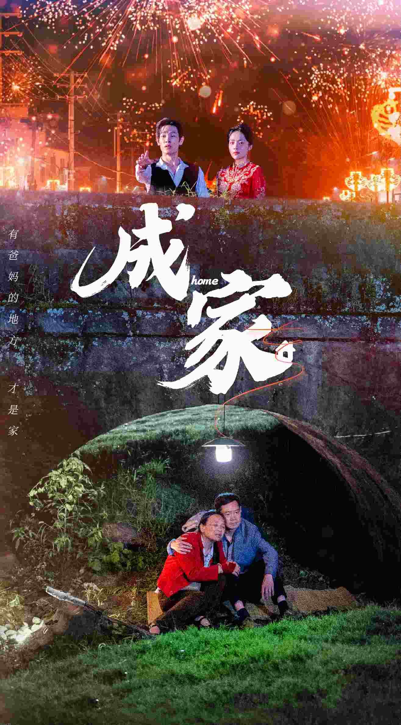 成家 短剧版 海报