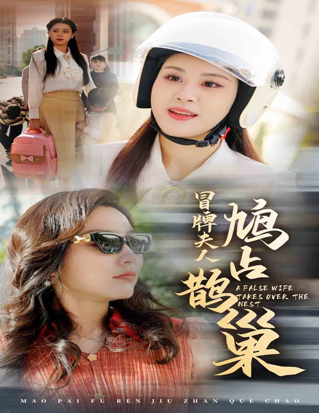 冒牌夫人鸠占鹊巢 高清海报