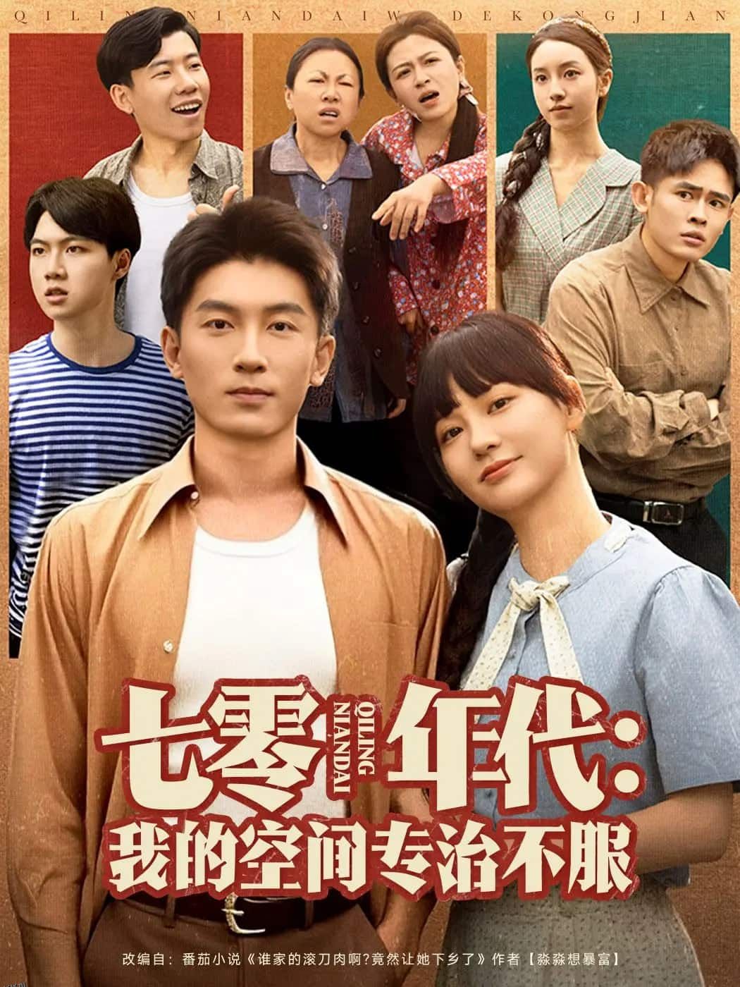 七零年代我的空间专治不服 海报