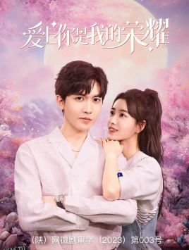 爱上你是我的荣耀 海报