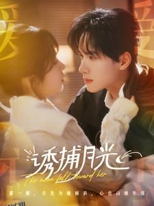 诱捕月光 海报