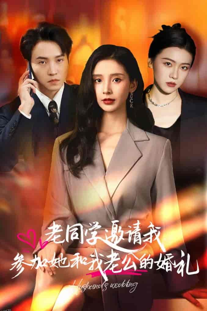 老同学邀请我参加她和我老公的婚礼 海报