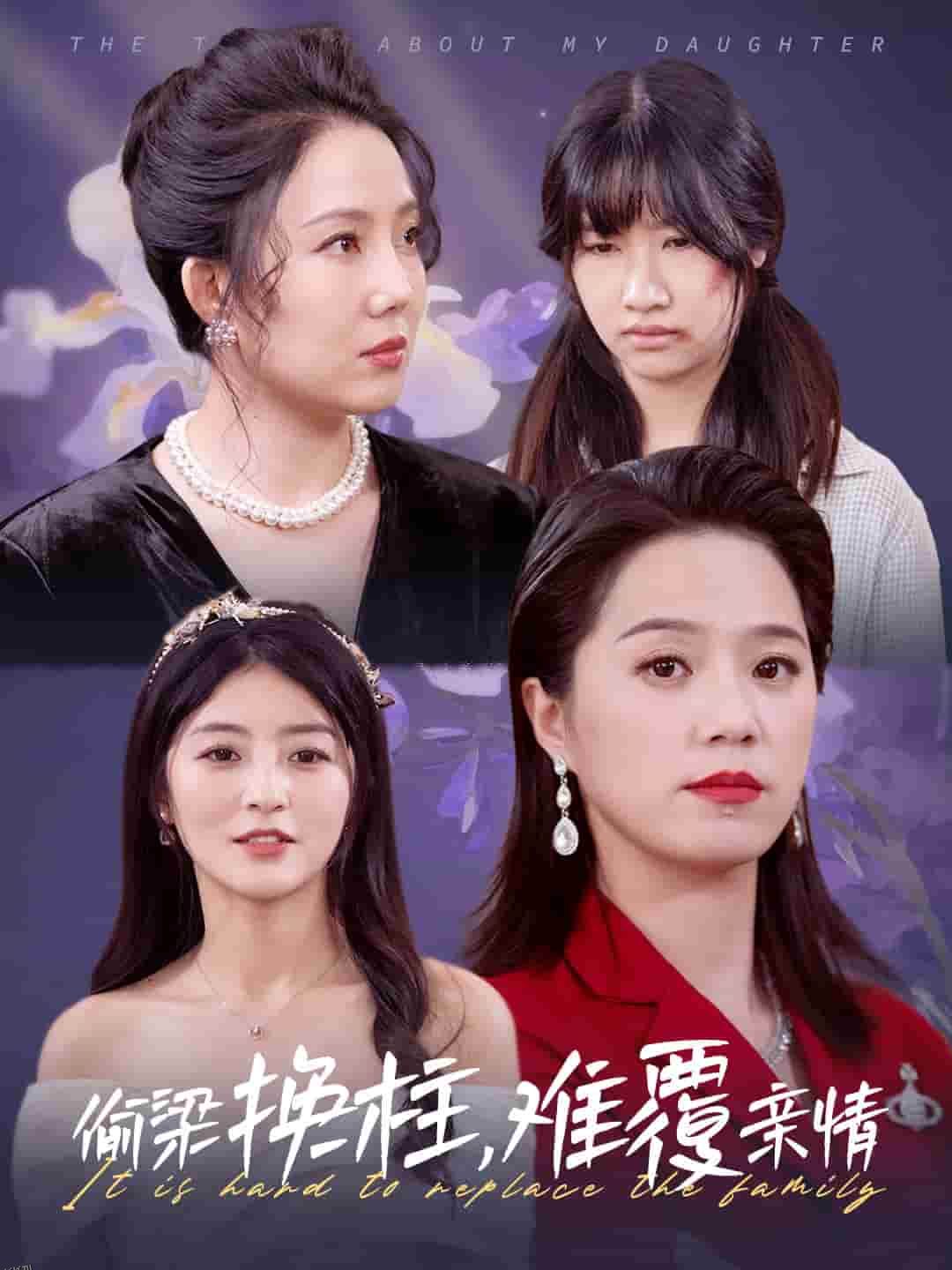 偷梁换柱难覆亲情 高清海报