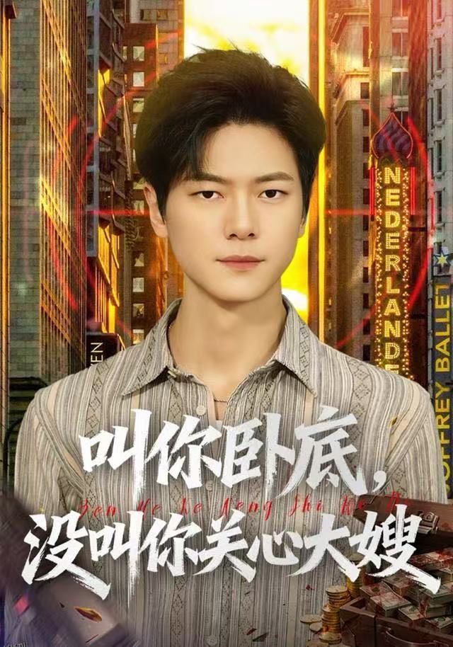 叫你卧底，没叫你关心大嫂 海报