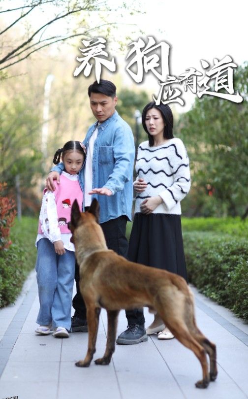 养狗应有道 海报