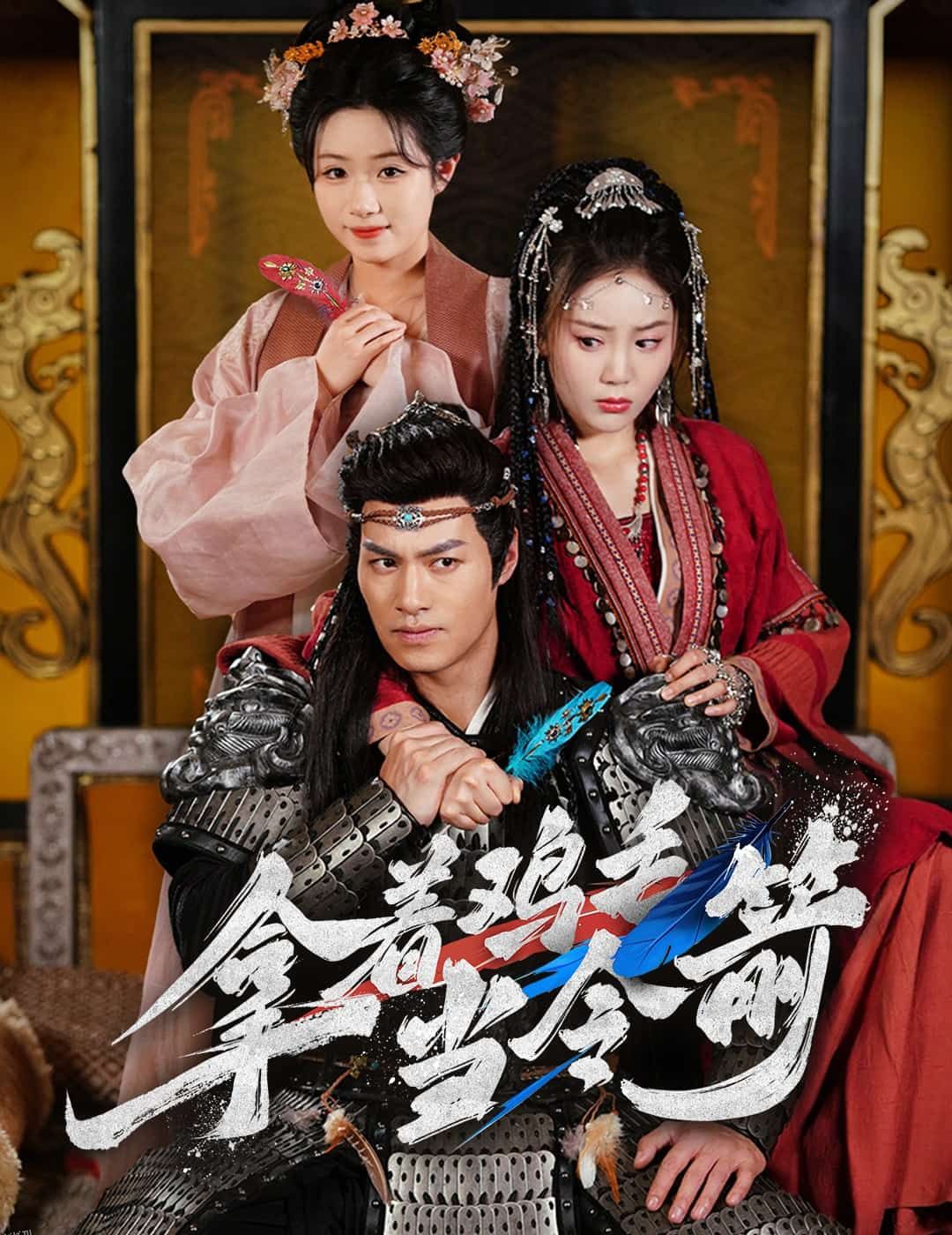 拿着鸡毛当令箭 海报