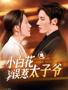 小白花误惹太子爷 海报