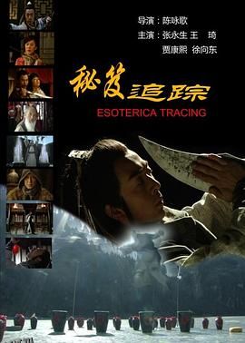 秘笈追踪 海报